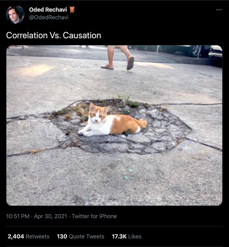 Tweet by Oded Rechavi (@OdedRechavi). The Tweet says, ''Correlation v. Causation.'' Underneath is a photo of a cat sitting in the center of a crushed section of concrete in a parking lot.''